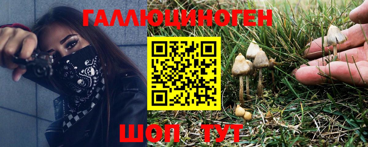 Галлюциногенные грибы Cubensis  Вход с VPN  Канаш  Псилоцибиновые грибы Cubensis 