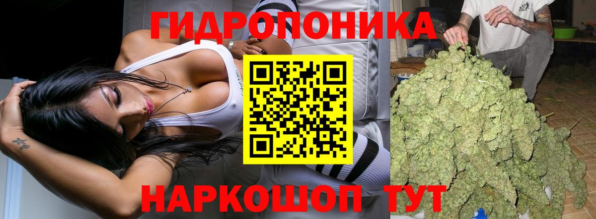 Канабис MAZAR Канаш